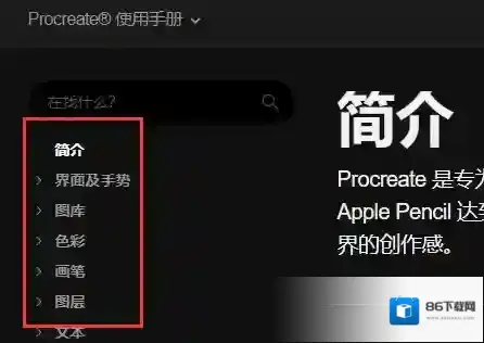 Procreate Pocket蓝色字体