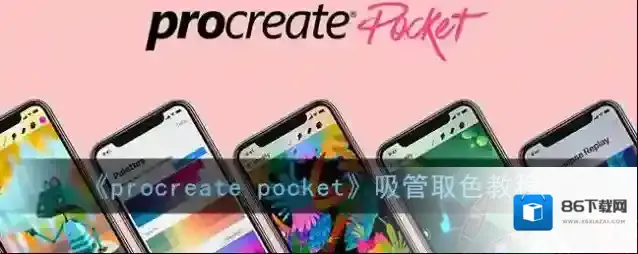 Procreate Pocket颜色