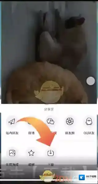 新浪绿洲保存视频