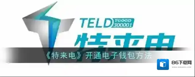 特来电电子钱包