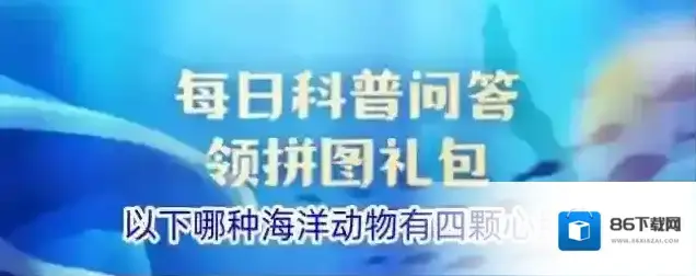 以下哪种海洋动物有四颗心脏